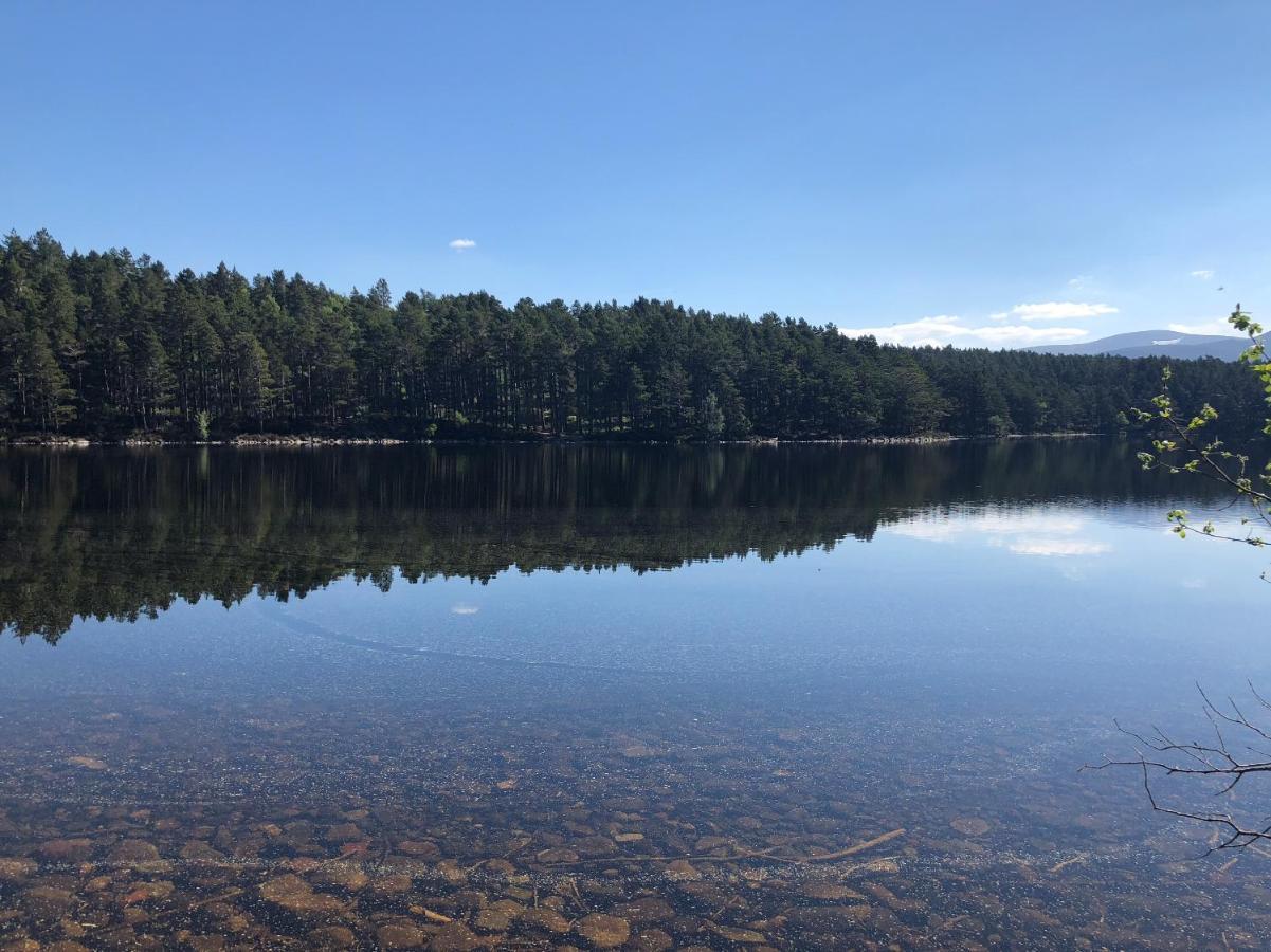 81 The Heathers, Aviemore Holiday Park , Dalfaber Rd Aviemore Ph22 1Px Ngoại thất bức ảnh