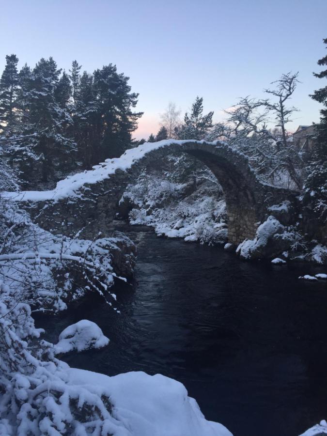 81 The Heathers, Aviemore Holiday Park , Dalfaber Rd Aviemore Ph22 1Px Ngoại thất bức ảnh